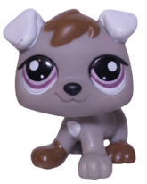 #1877 Puppy